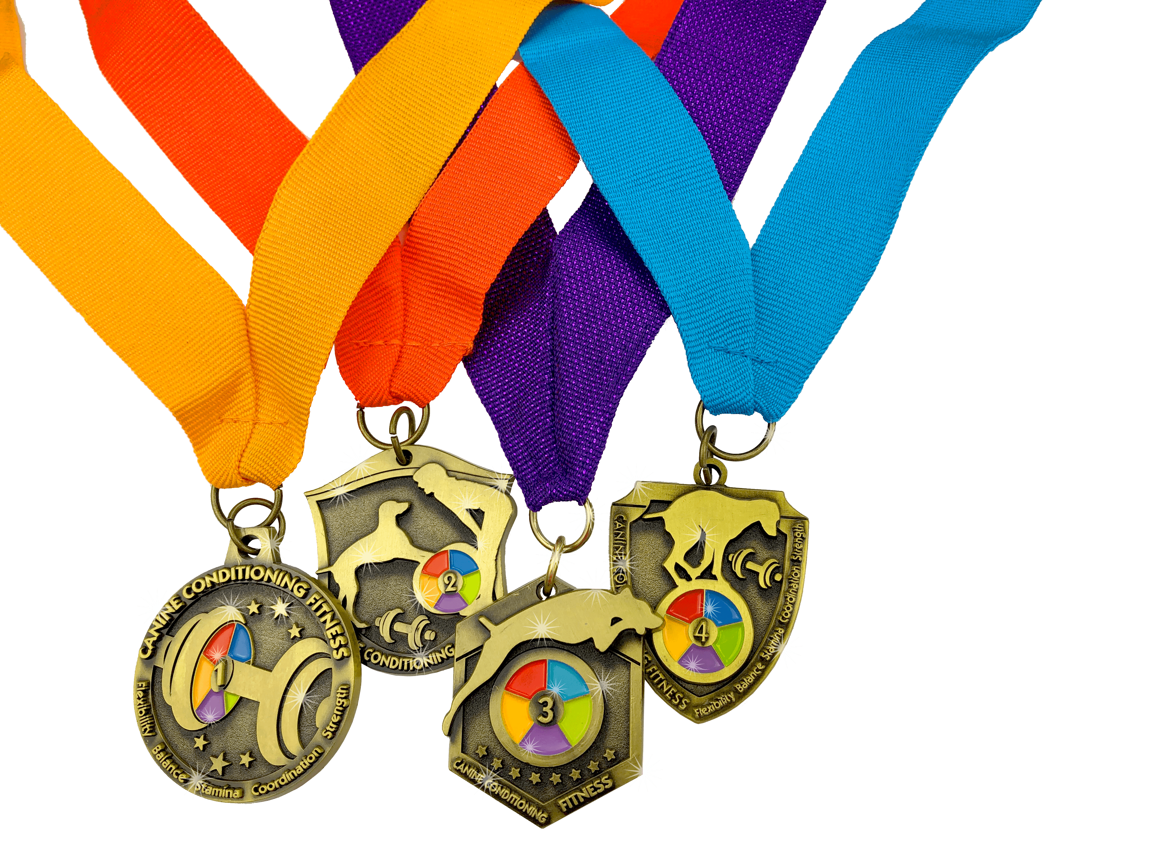 https://domorewithyourdog.com/DogTricks/wp-content/uploads/2020/08/CCFmedals4.png