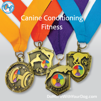 🏋🏼‍♀️Canine Conditioning Fitness Title