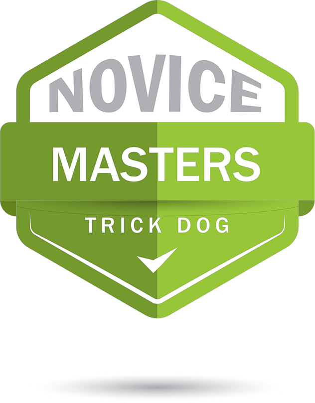 Masters Title | Do Your Dog!