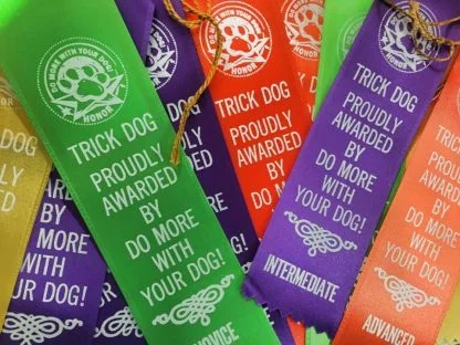 Trick Dog title Ribbon - Image 2