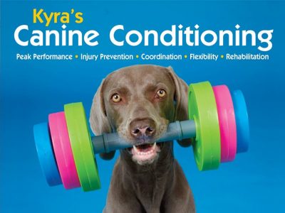 Canine Conditioning: Quick Canine Workout » Canine Conditioning Coach