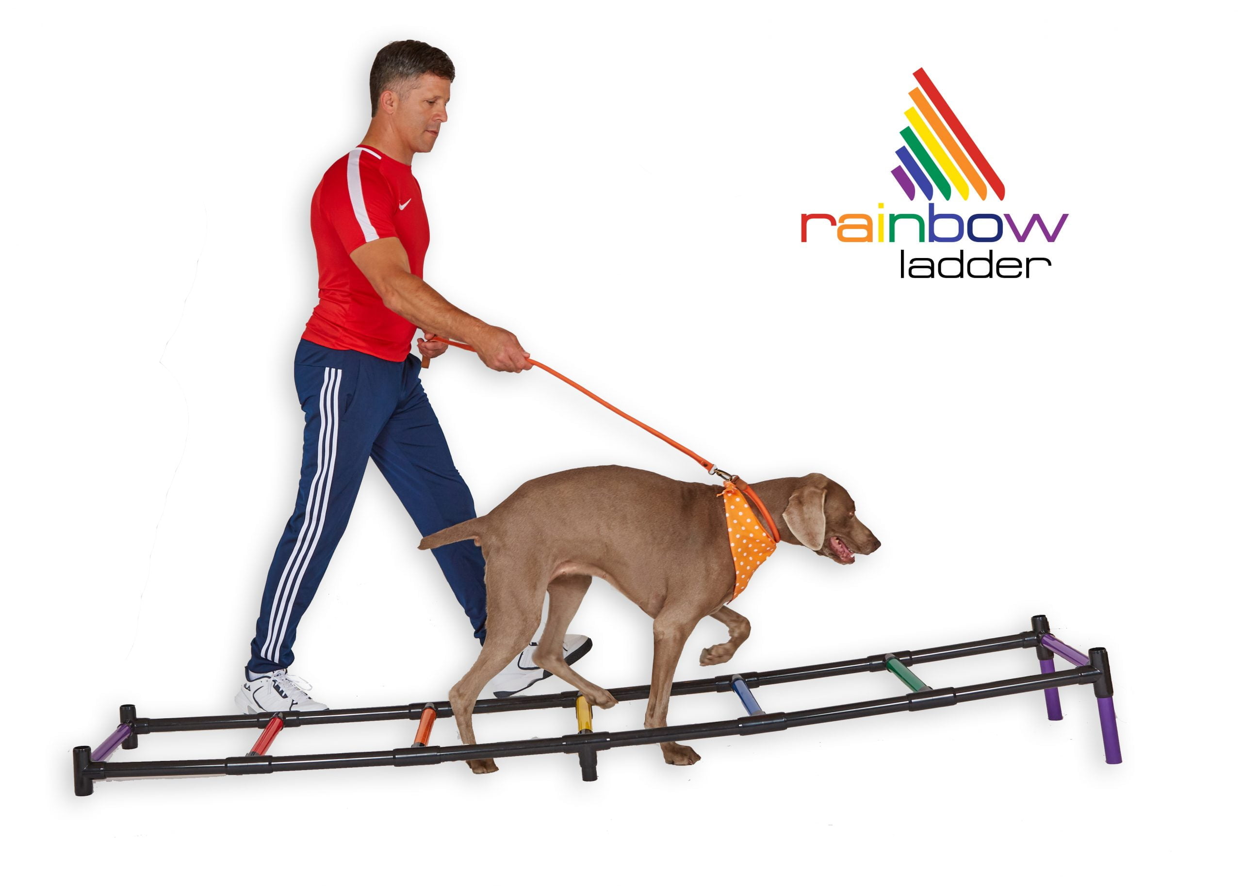Rayuwen Dogs Agility Training Ladder Pet Play Run Obstacle