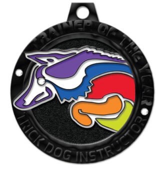 CTDI [Trainer of the Year]