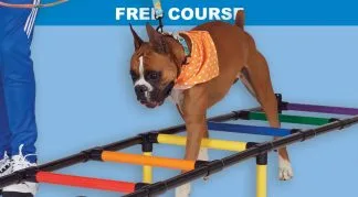 🆓 20 Uses for Rainbow Ladder and Magic Square