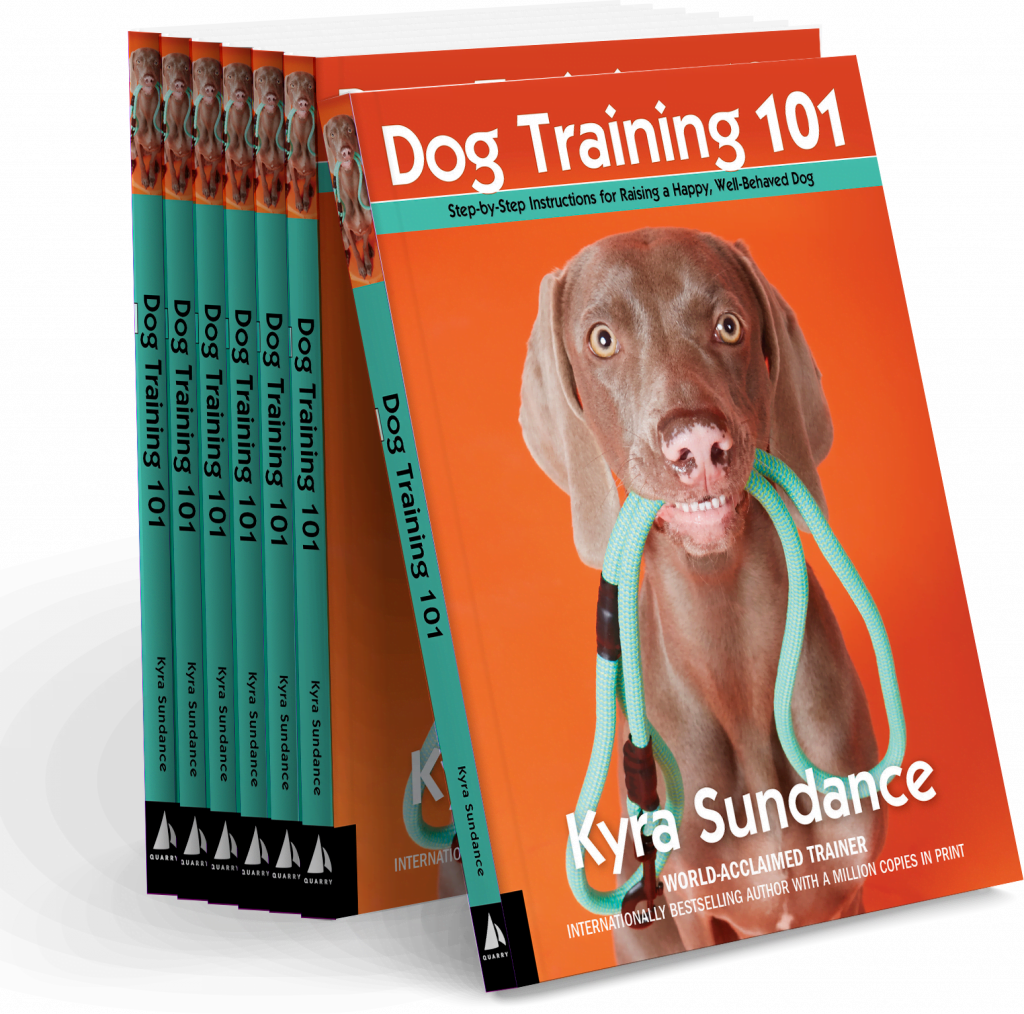Dog Training 101