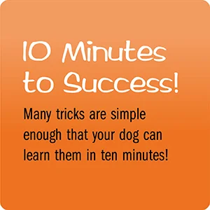 101 Dog Tricks: Kids Edition - Image 16