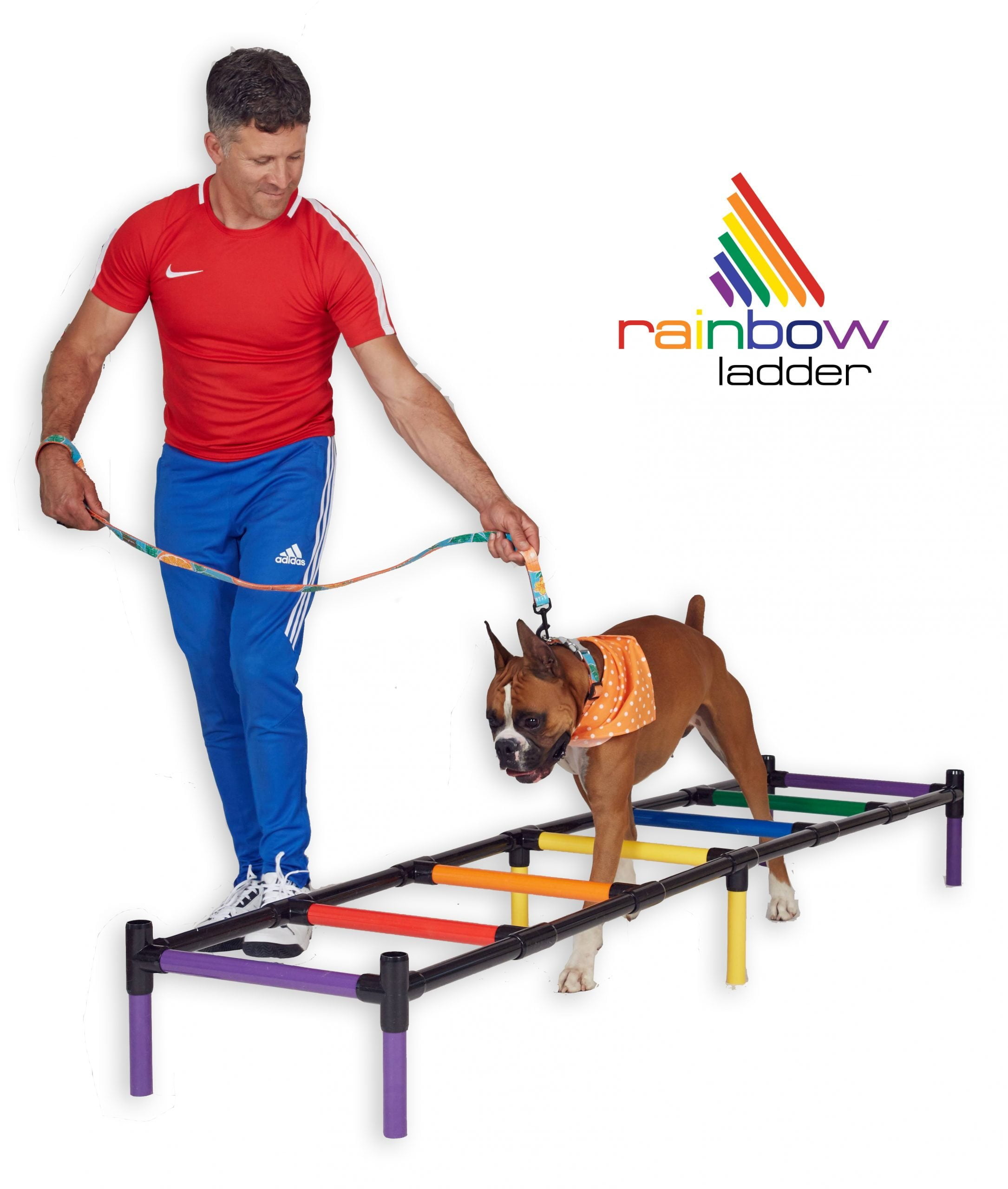 Rayuwen Dogs Agility Training Ladder Pet Play Run Obstacle