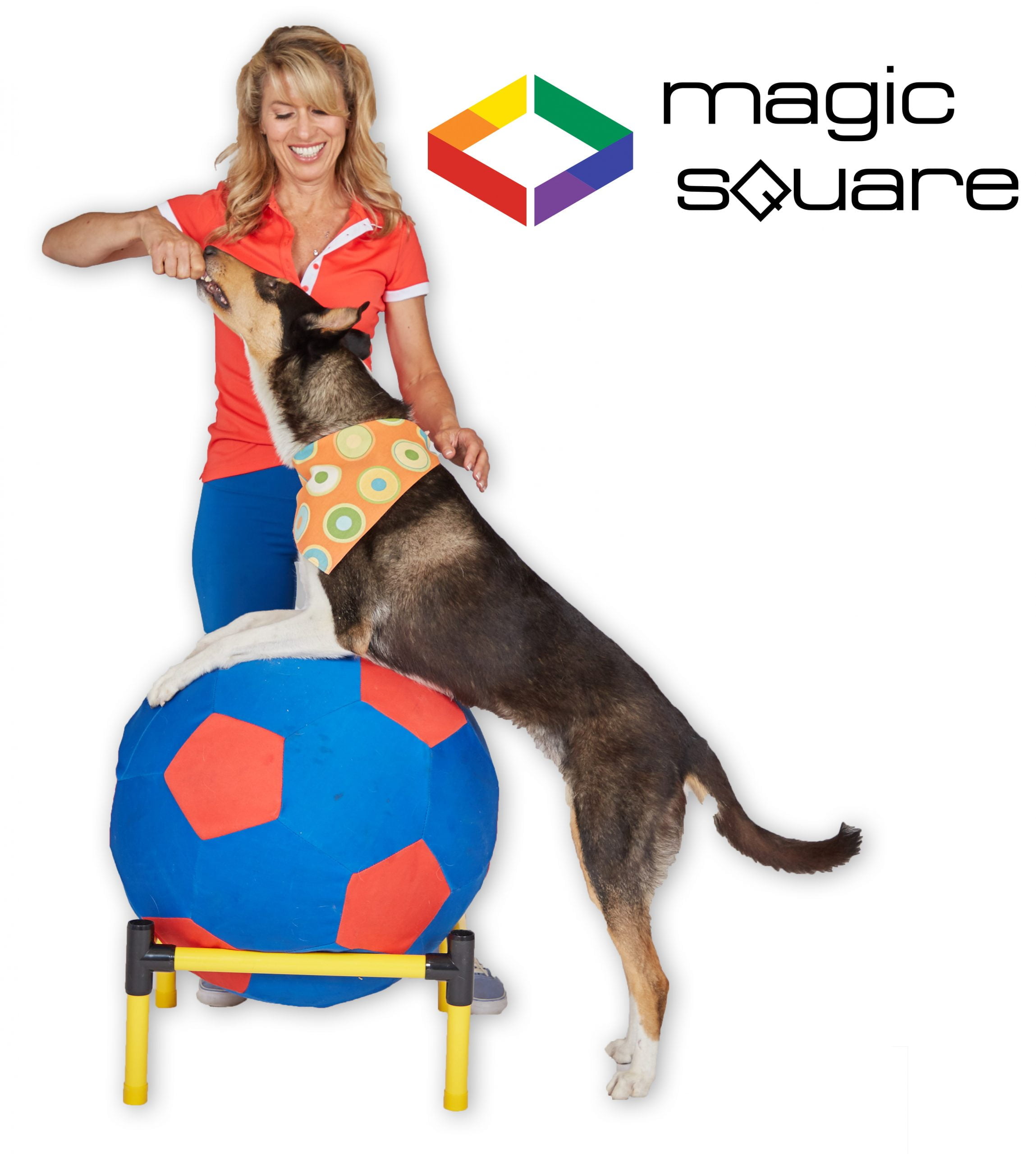 Teaching your dog to lay down on the Magic Mat 