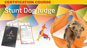 Stunt Dog Judge
