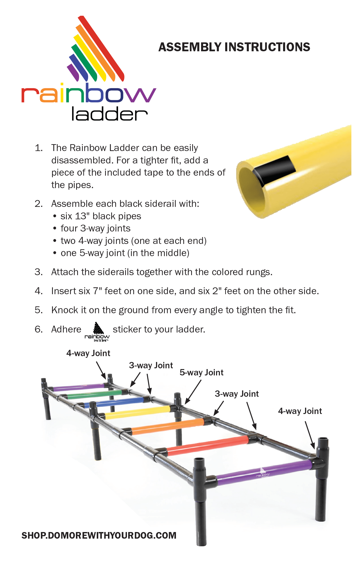 Rainbow Ladder 🌈  Do More With Your Dog!