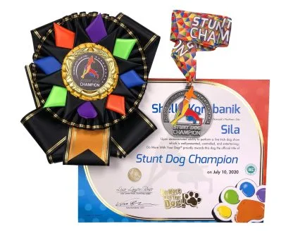 Stunt Dog Champion (SDCH) Rosette - Image 2
