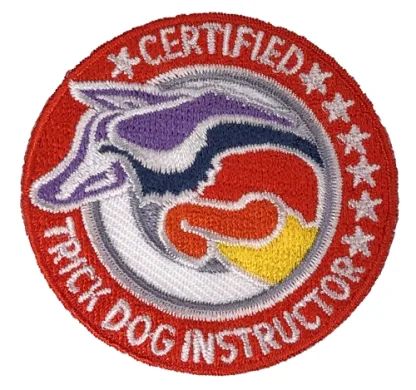 CTDI Patch