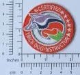 CTDI Patch - Image 2