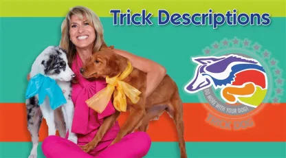 🆓 Dog Tricks Descriptions