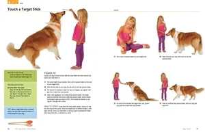 101 Dog Tricks: Kids Edition - Image 4