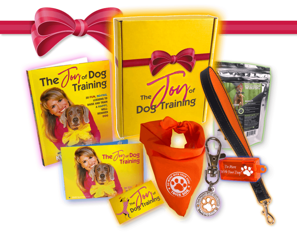 Box of Joy Gift Pack Do More With Your Dog!