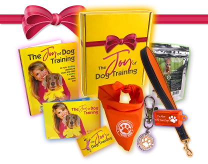 Box of Joy Gift Pack