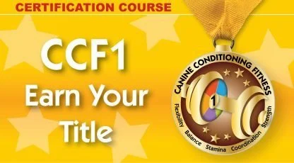 CCF1 - personal coach and title