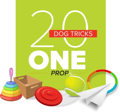 20 Dog Tricks: One Prop