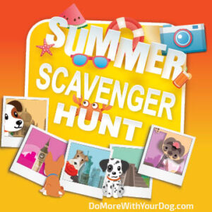 SummerScav27