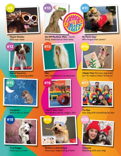 Summer of Ruff 2025 - Image 26