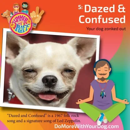 Summer of Ruff 2025 - Image 8