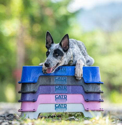 Teaching your dog to LOVE the Cato Board - intro to platform training for  your dog. 
