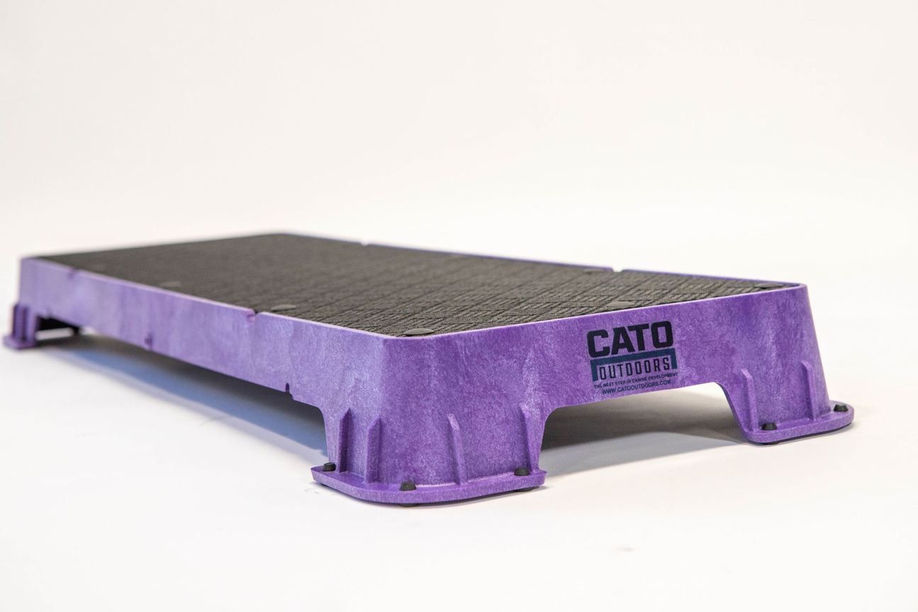 Cato Plank and Tilt Stand