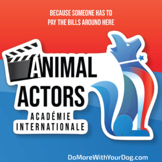 🎬Animal Actor Certification