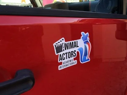 Animal Actors Cling-Sticker - Image 2