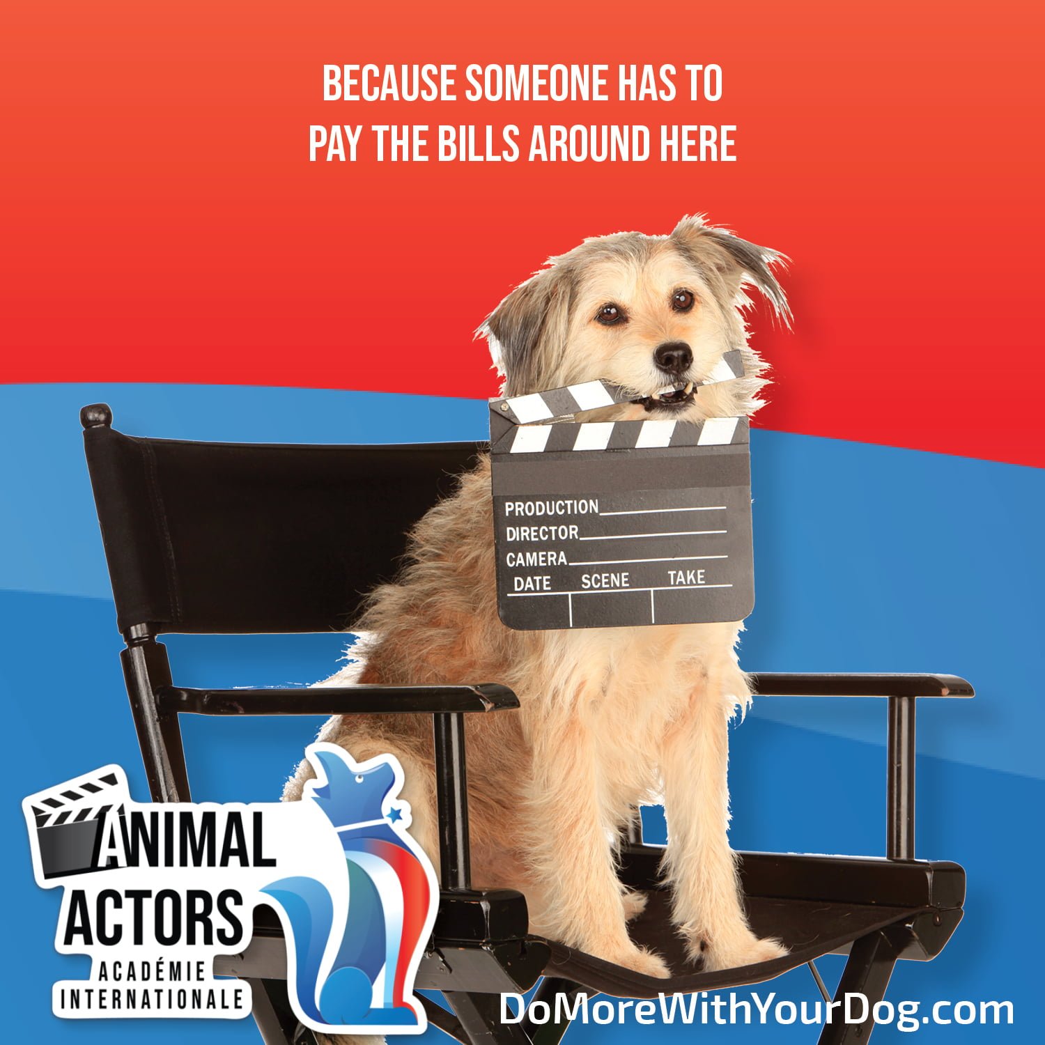 do dog actors get paid