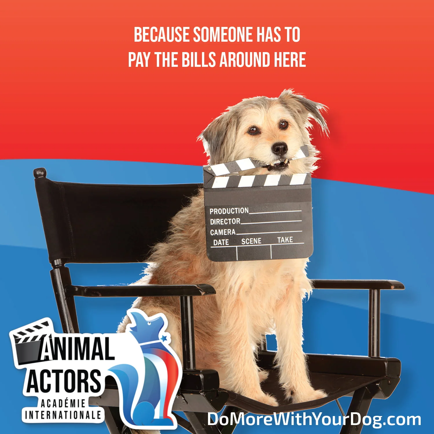 Animal Actors Workshop - Image 2