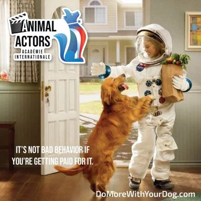 Animal Actors Workshop - Image 6