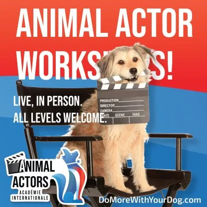 Animal Actors Workshop