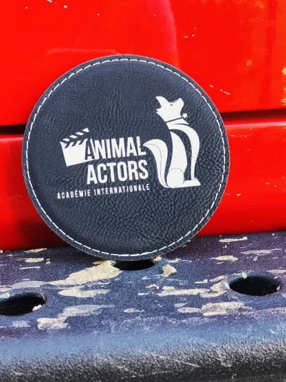 Animal Actors Workshop - Image 8