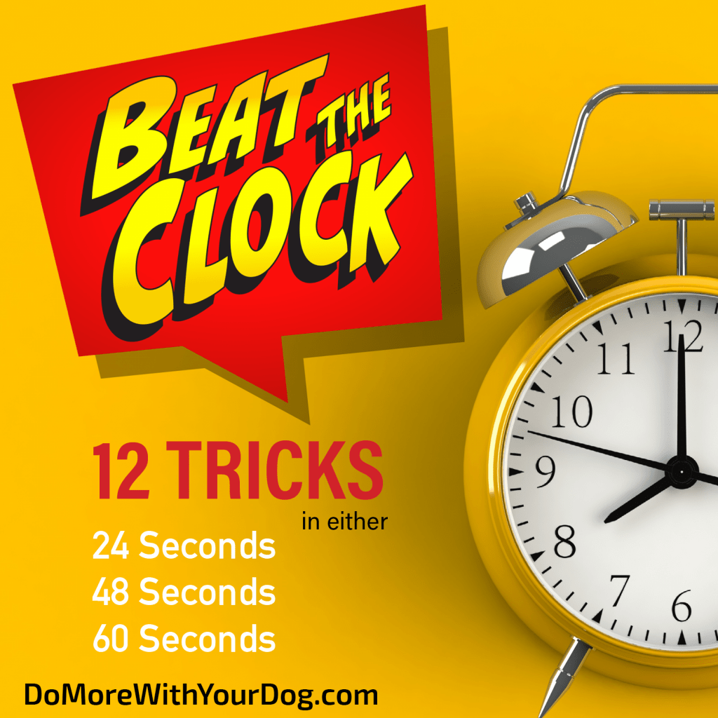 Beat the Clock Do More With Your Dog!