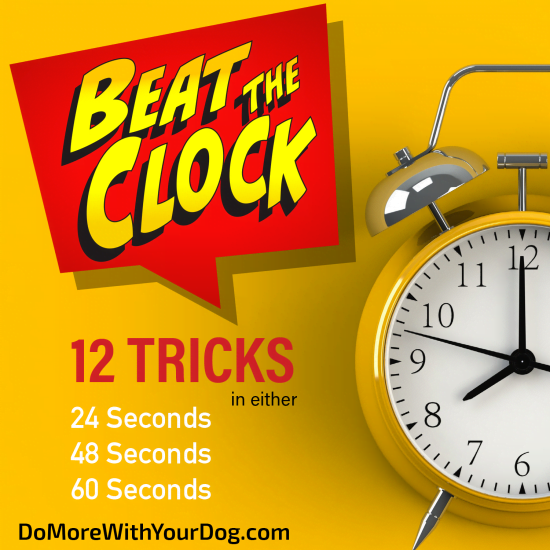 Beat the Clock Do More With Your Dog!