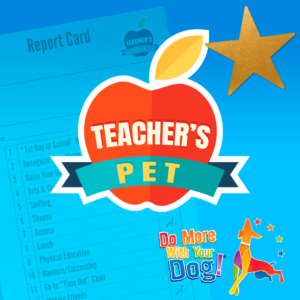 Teacher‘s Pet