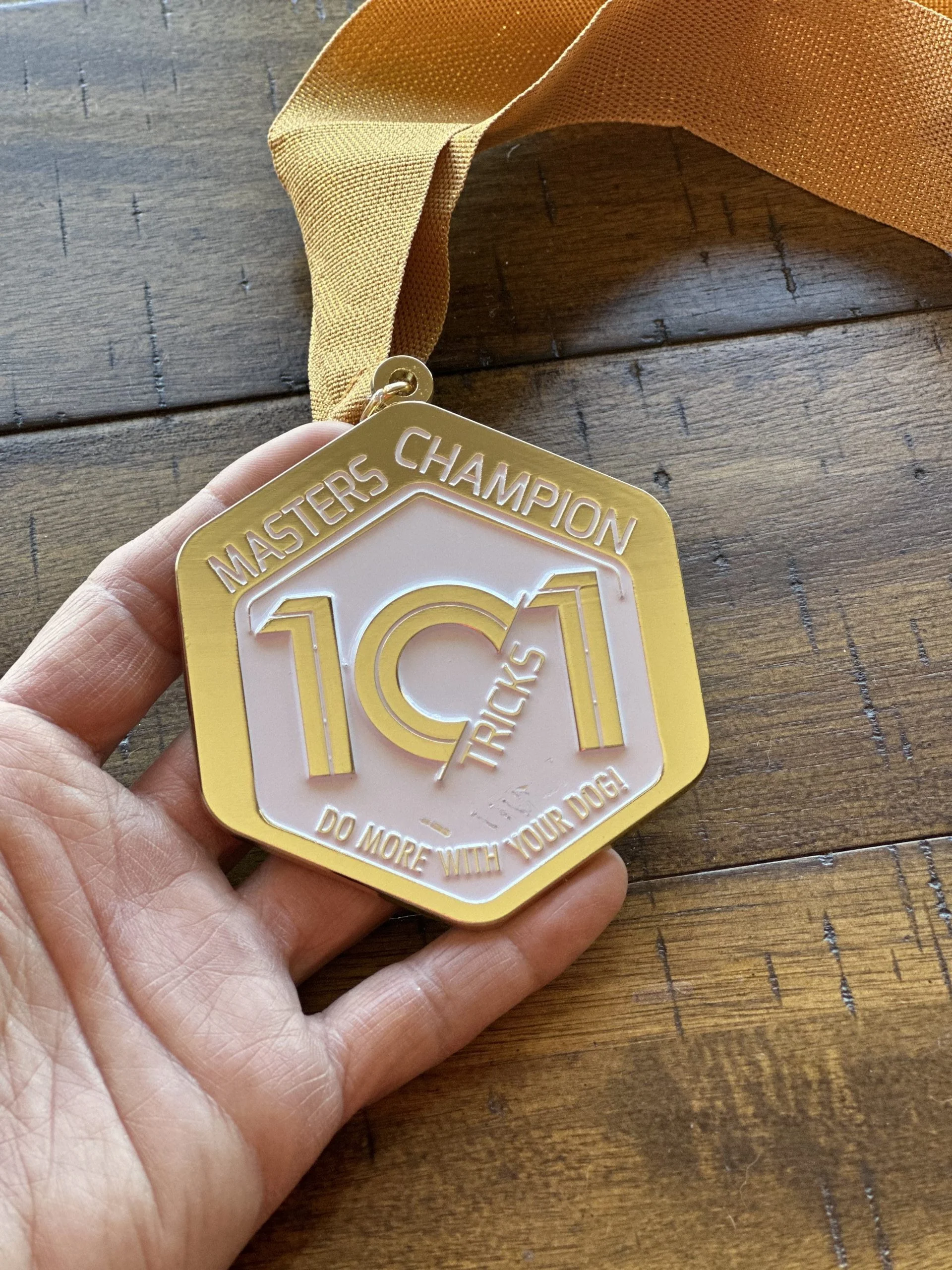 Masters Champion Medal - Image 2