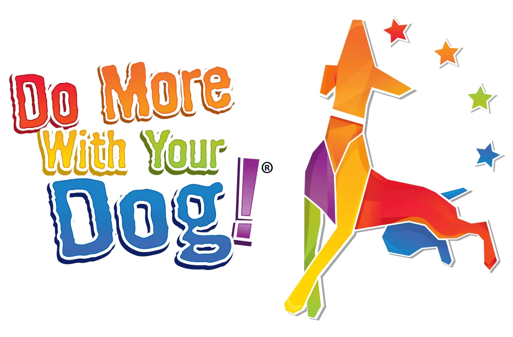 Do More With Your Dog!