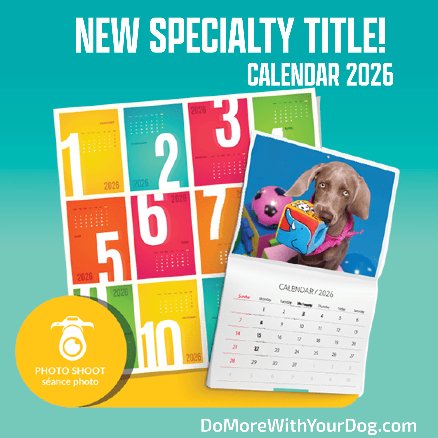📆Calendar Shoot 2026 - Animal Actor Specialty Title - Image 5