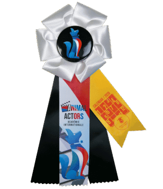 Calendar Shoot Rosette