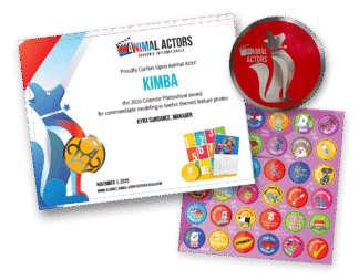 Calendar Hardcopy Certificate, Metal Disc, Sticker Sheet