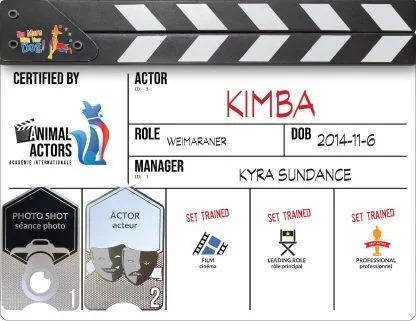 Hardcopy Certificate and AA1 Metal Card - Image 3