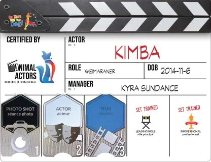 Hardcopy Certificate and AA1 Metal Card - Image 4