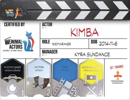 Hardcopy Certificate and AA1 Metal Card - Image 5