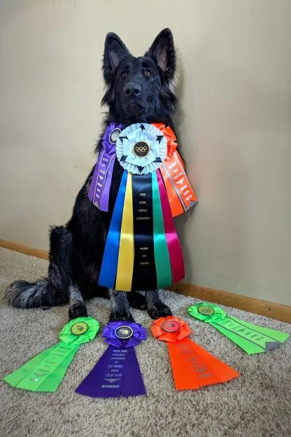 Dog-lympics Rosette - Image 2