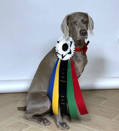 Dog-lympics Rosette - Image 4