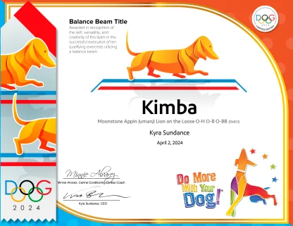 Balance Beam Hardcopy Certificate & Ribbon