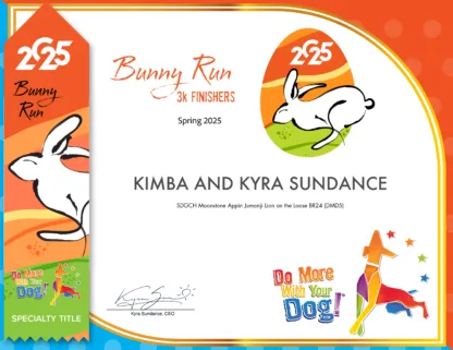 🐇Bunny Run 2025 - REGISTER - Image 7